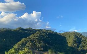 Nhà trên đồi - Windy Hill